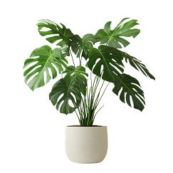 c30fa0f2 f6f5 49ae 831d db6f2e101156 1